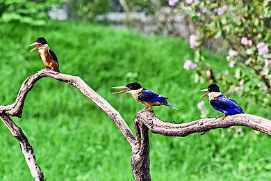 《天外世界2》发布最新故事预告片 10月29日发售