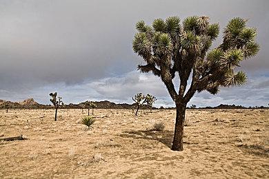 《弗恩岛上的女巫》登陆PC平台 经营探索战斗冒险